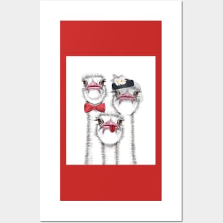 Ostrich Family Posters and Art